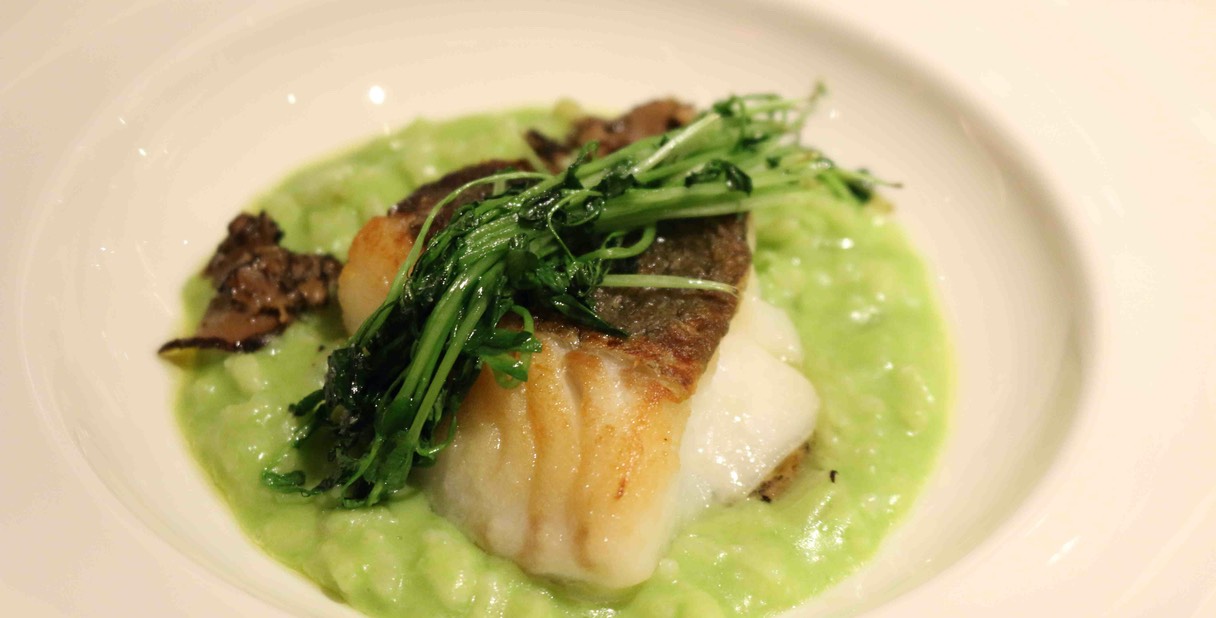 Pan Roasted Line Caught Cod over Georgia Sweet Pea Risotto, Equinox Farm Pea Tendrils and Shaved Black Truffles